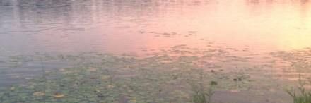 _lilyisabella's profile banner image