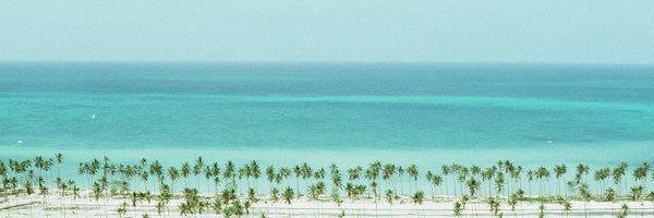 BarbaraAWaite Profile Banner