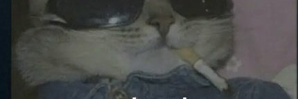 daniela_bm31's profile banner image
