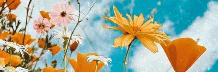 oolivia143's profile banner image