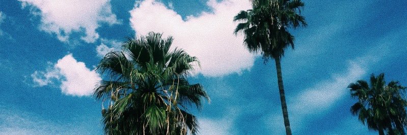 nocovaz's profile banner image