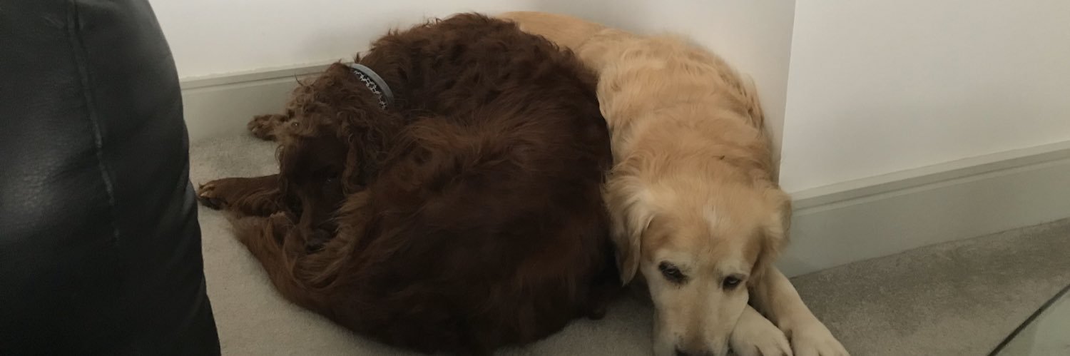 Lewis Vickers banner