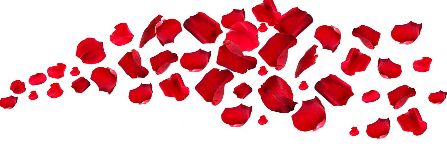 Celes_bsas's profile banner image