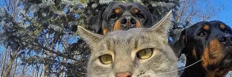 ftms1903's profile banner image
