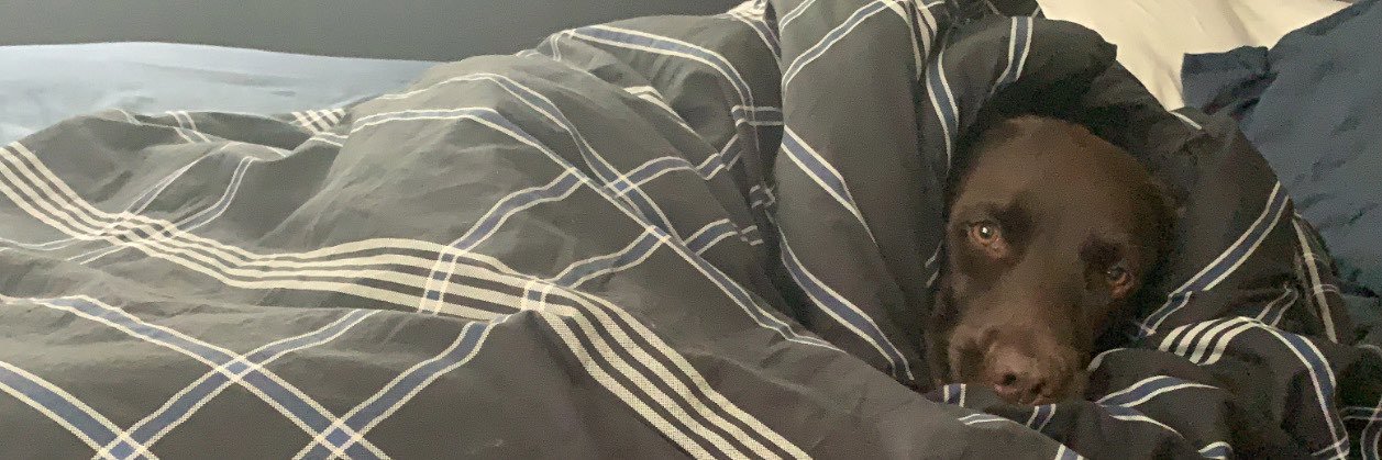 AspenDetrickk's profile banner image