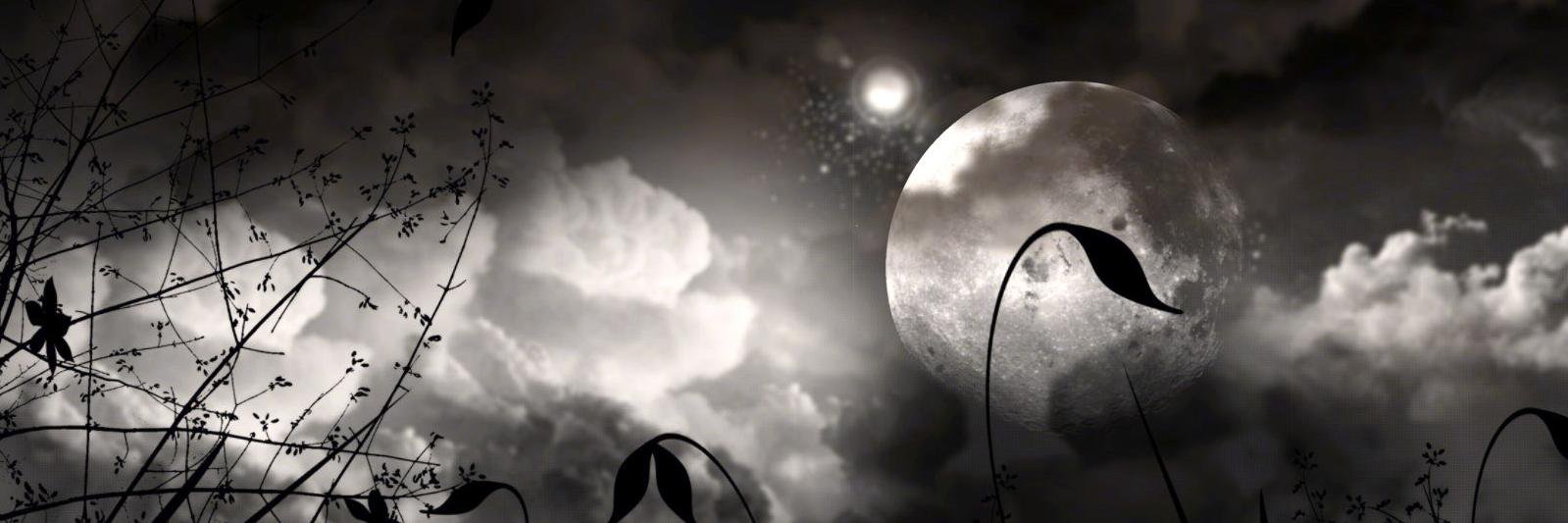 sahidaisy's profile banner image