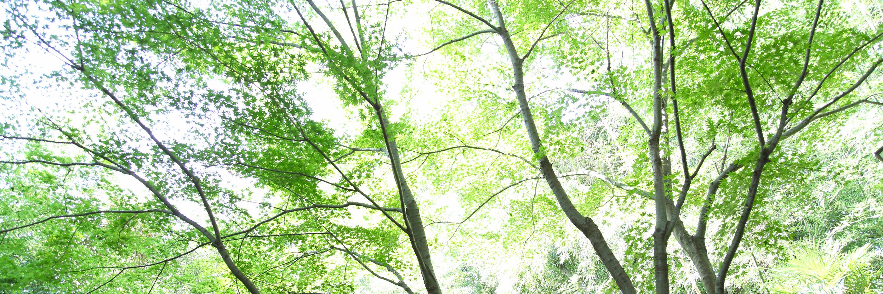 aaaknt's profile banner image