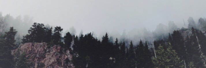 KelsieAmber's profile banner image