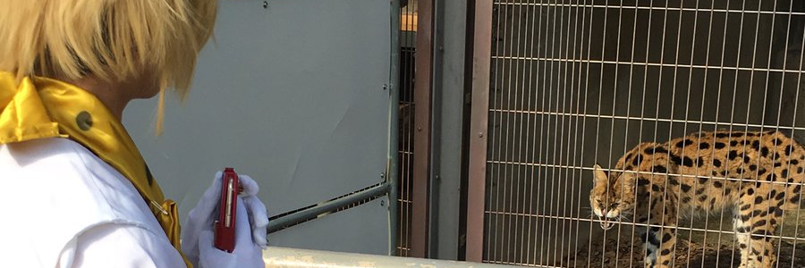sk3tchyguy's profile banner image
