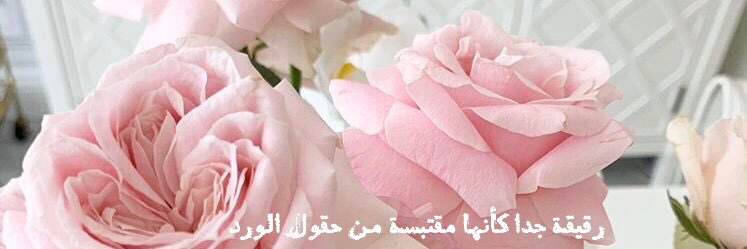 alwardia's profile banner image