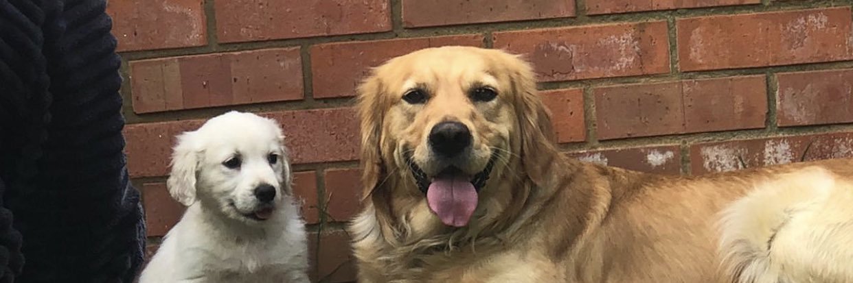 Freddie Davidson banner