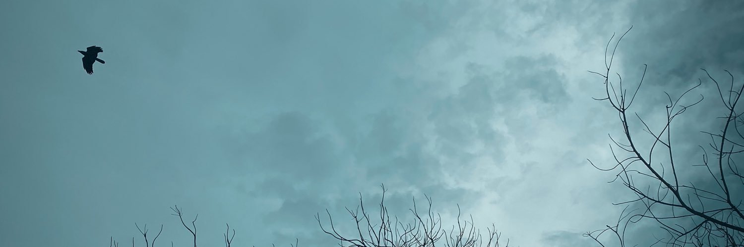 itzzwanderlust's profile banner image