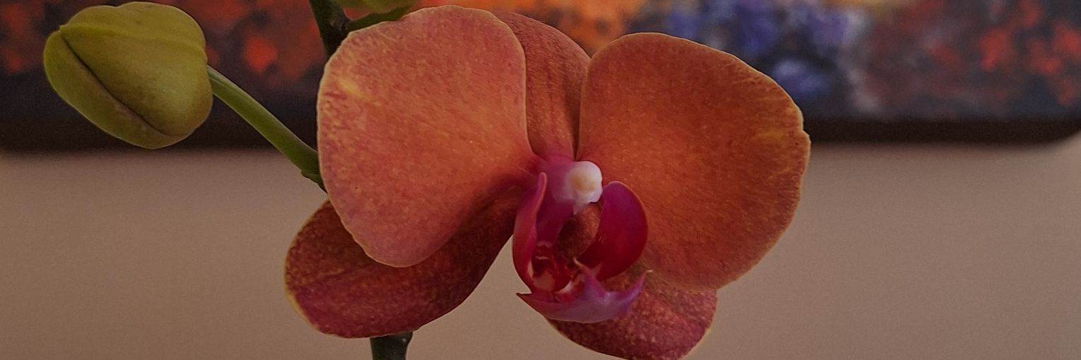 marizsw's profile banner image