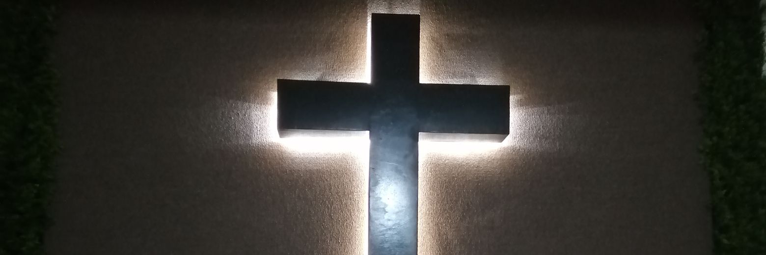 Dra.Chaparrita banner