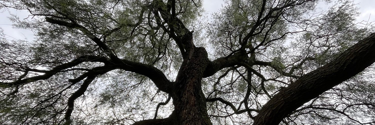 Nicolás Loza banner