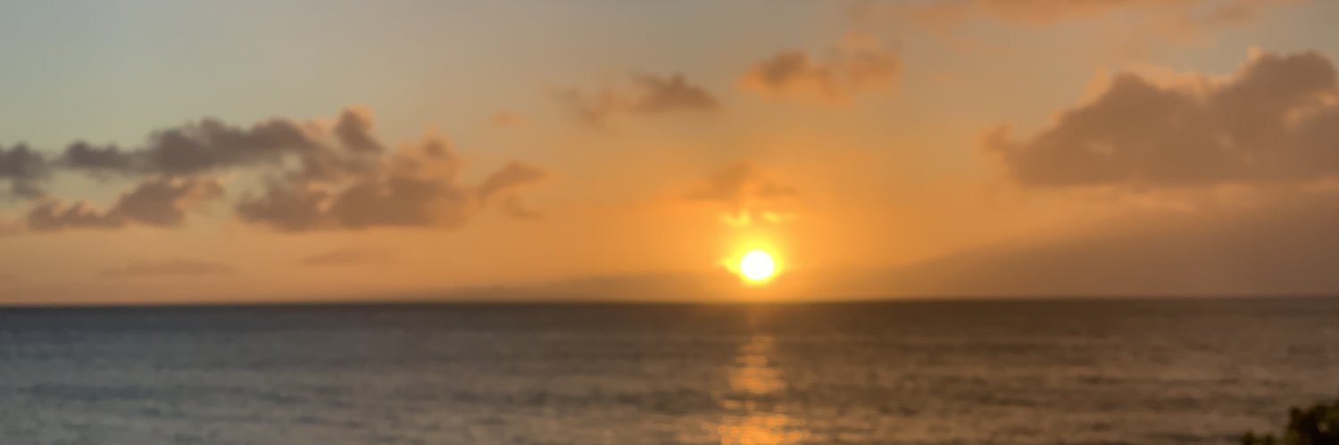 stlboz's profile banner image