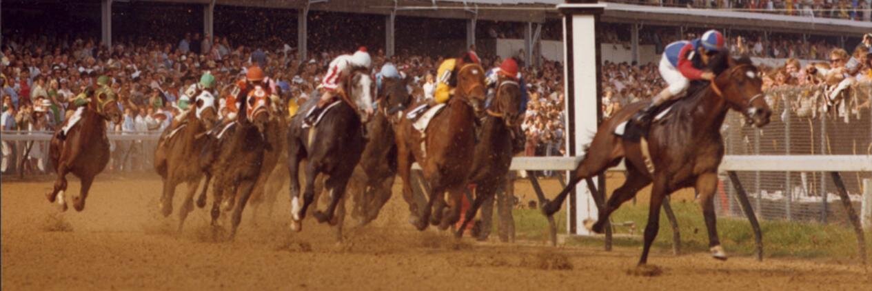 RoidHobbs's profile banner image