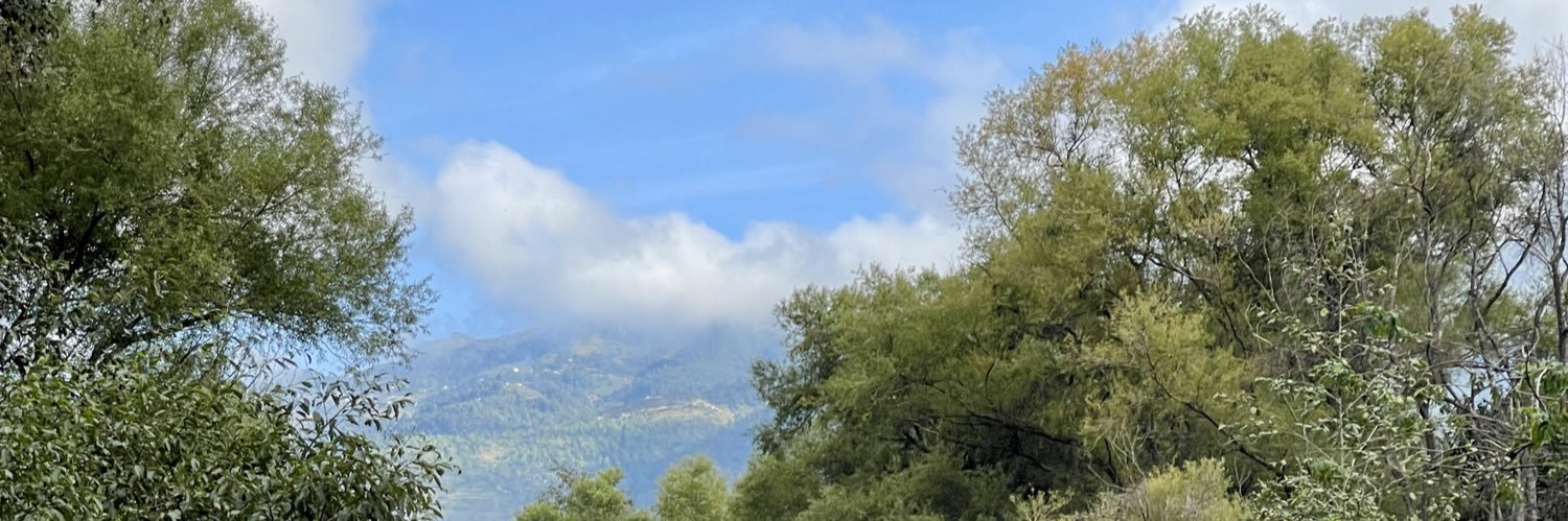 BrianRecinos_'s profile banner image