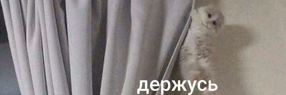krampaom's profile banner image