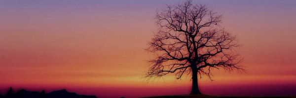 meswarna Profile Banner