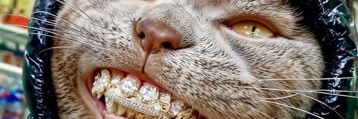 Valentina_picks's profile banner image