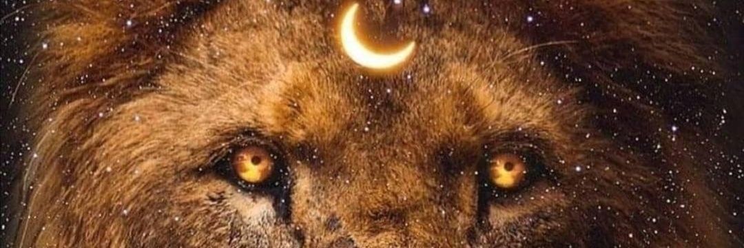 LorenaRojoD's profile banner image
