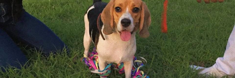 mileygck's profile banner image