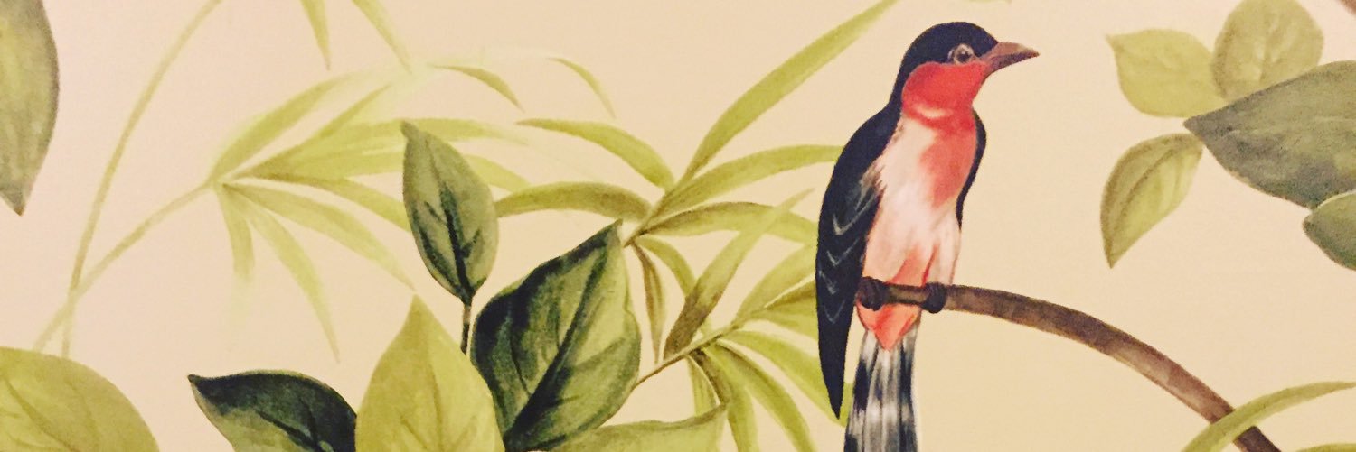 dnnsamst's profile banner image