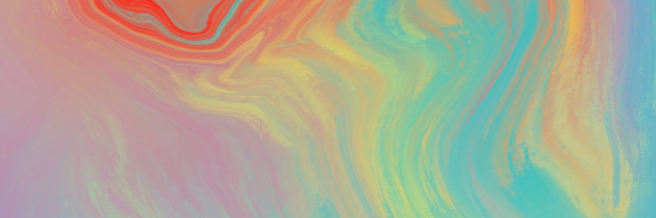 Haley Bruedigam banner