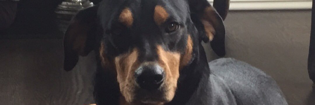 BobKat_1's profile banner image