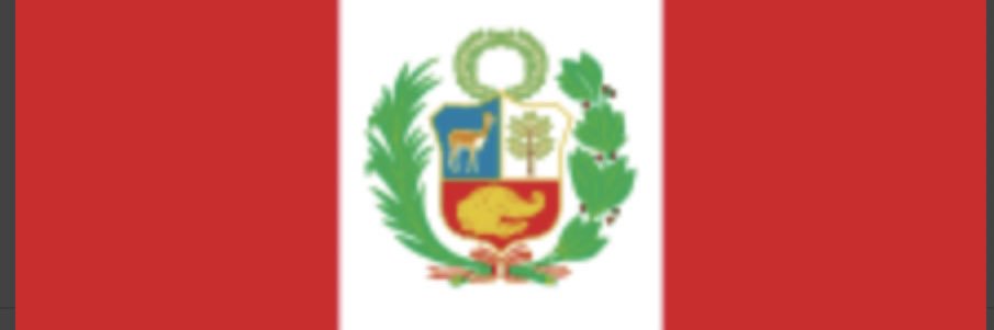 Peruanisimo banner