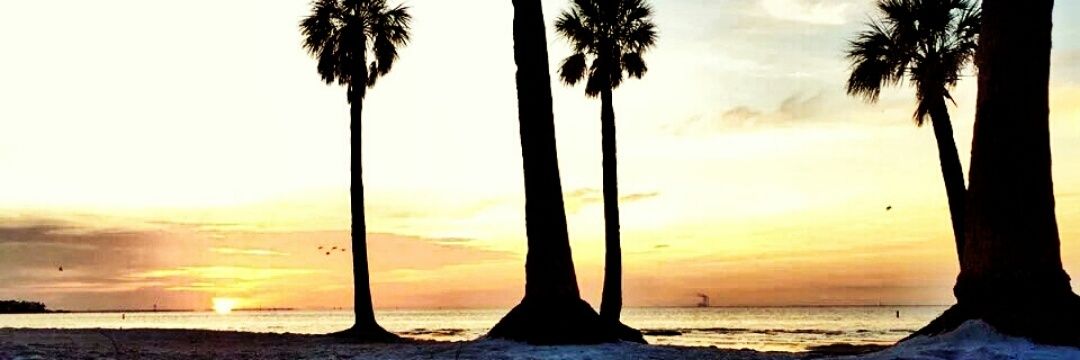 ATripp1991's profile banner image