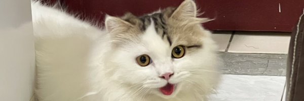 Lurhsan Profile Banner