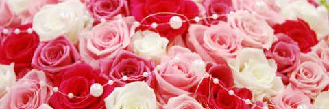 ___tag0929's profile banner image