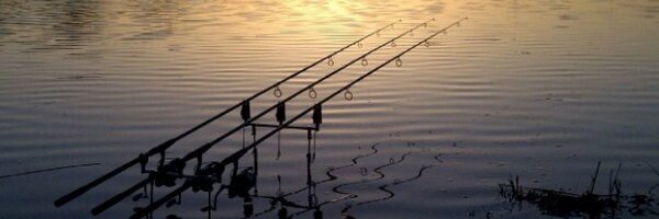 jasonbrain1 Profile Banner