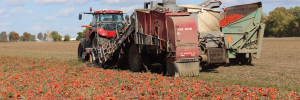 Brushy06 Profile Banner