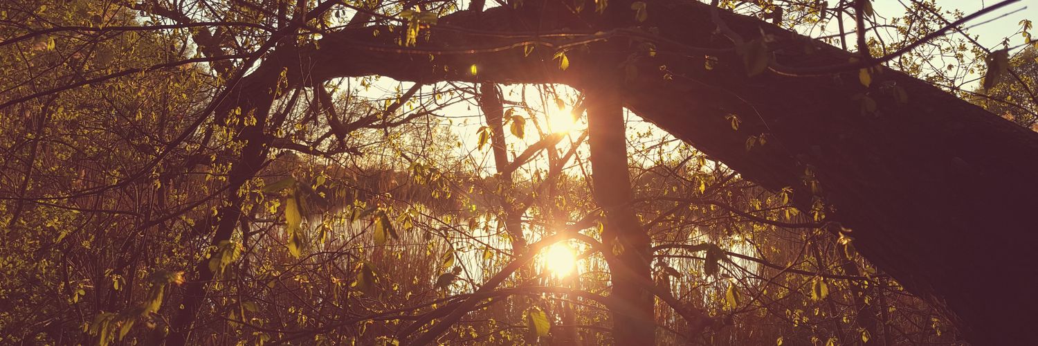 NastasjaSack's profile banner image