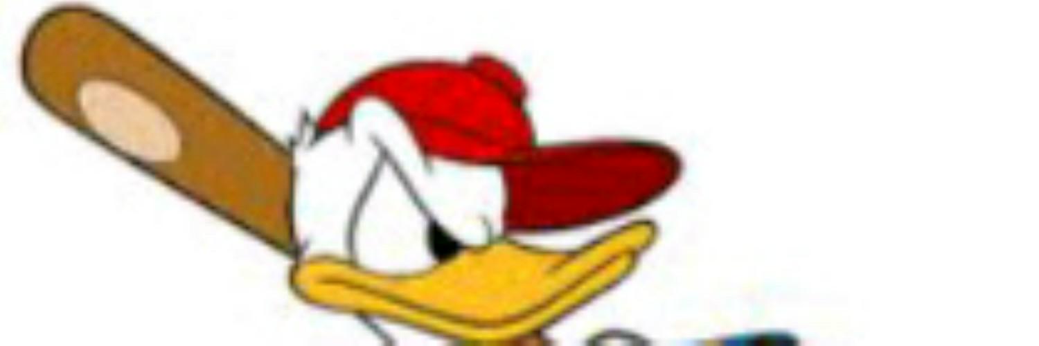 aliaputrianing1's profile banner image