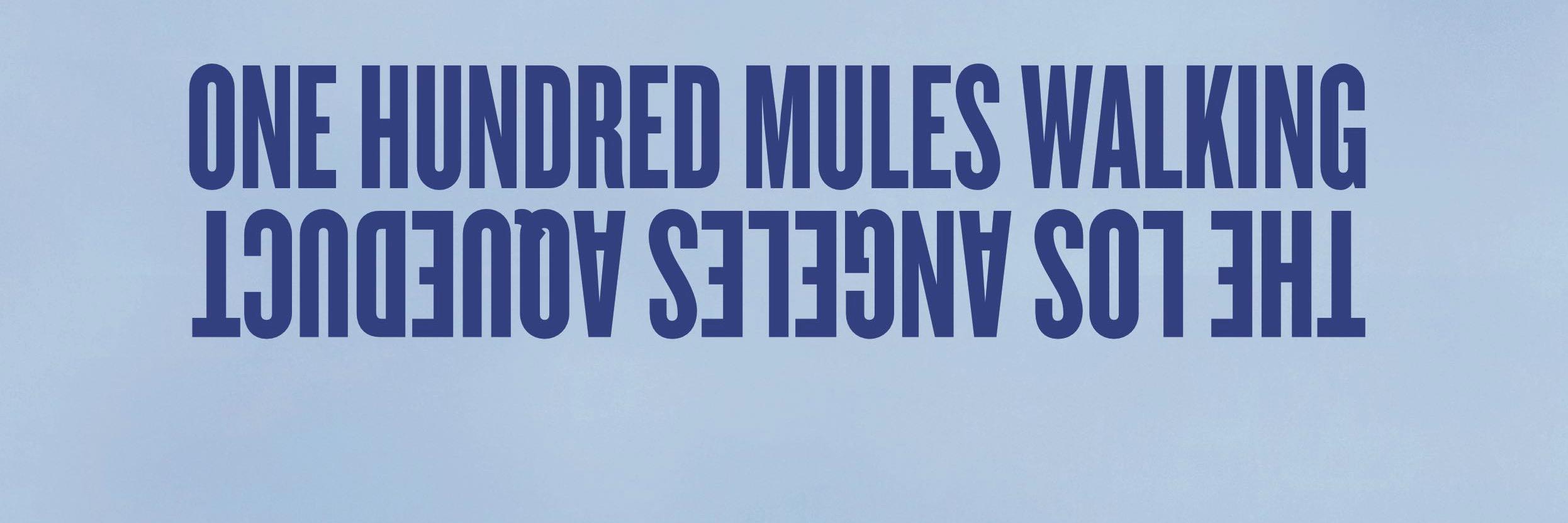 Onehundredmules's profile banner image
