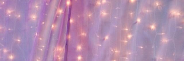 Evelyn banner