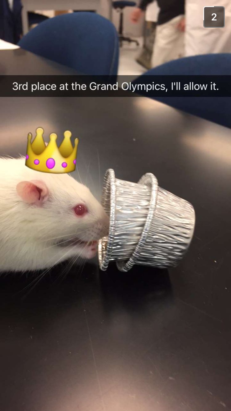 ohEmD's profile banner image