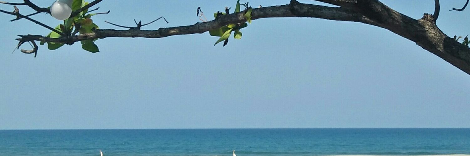 DanielaTamindon's profile banner image