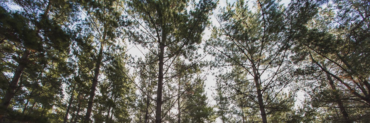 LexyRMatthews's profile banner image
