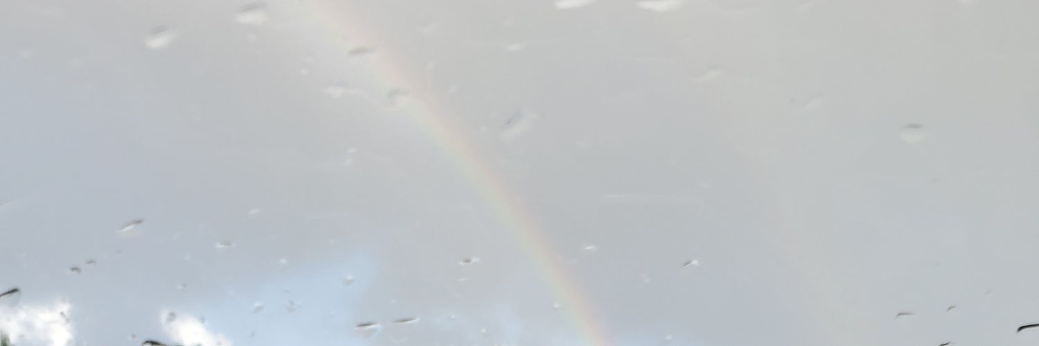 Gary Williams banner