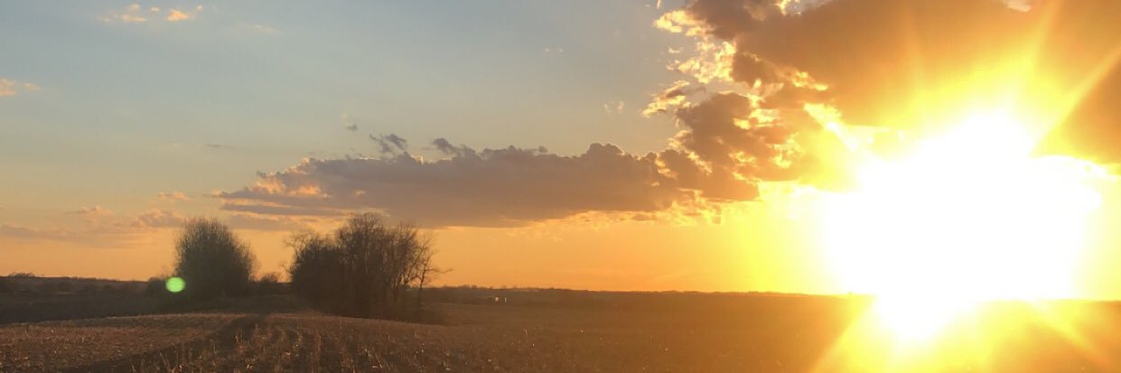 bnelson14's profile banner image