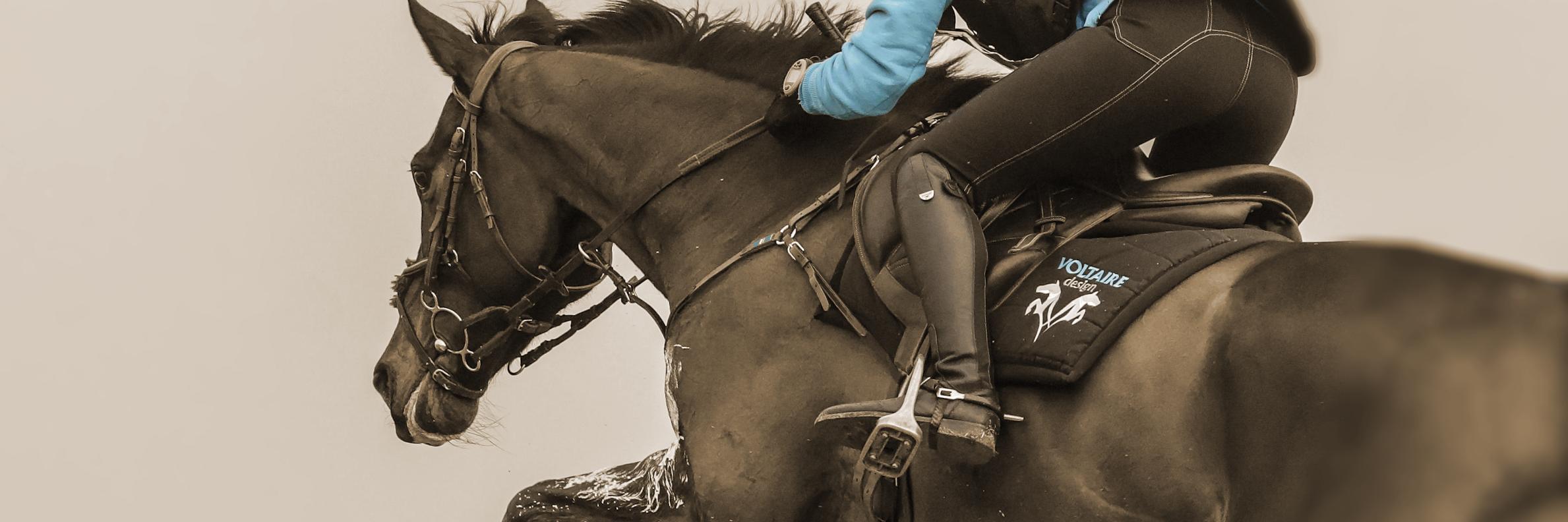 MathieuVoltaire's profile banner image