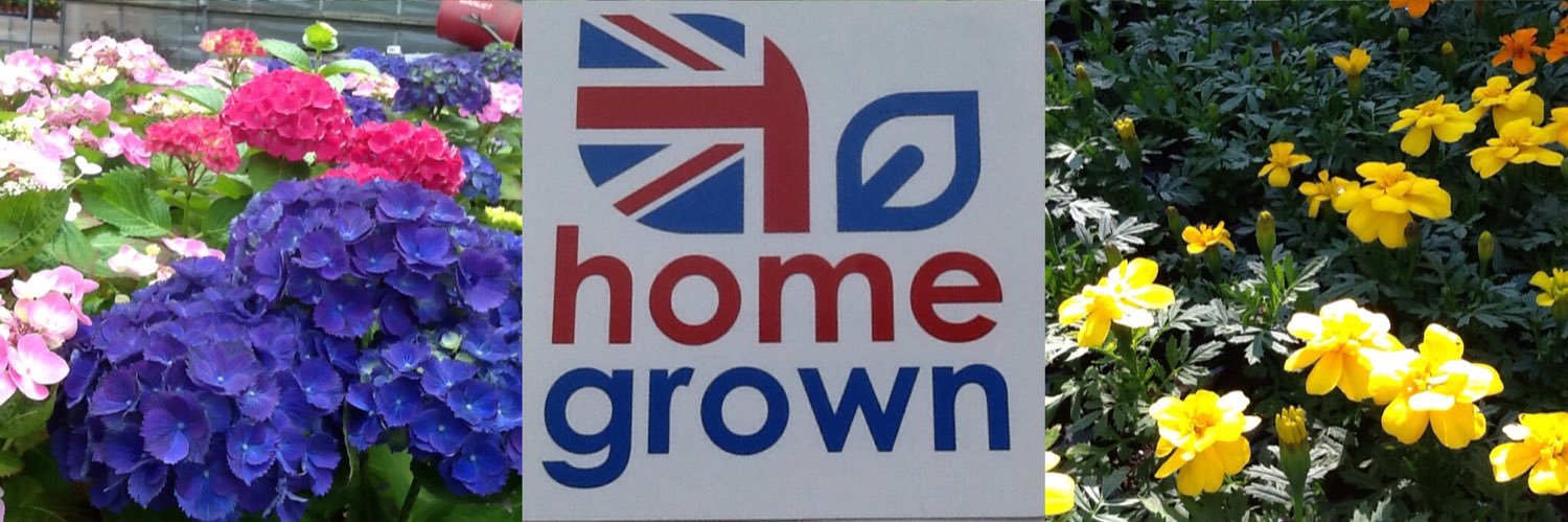 The plant stall banner