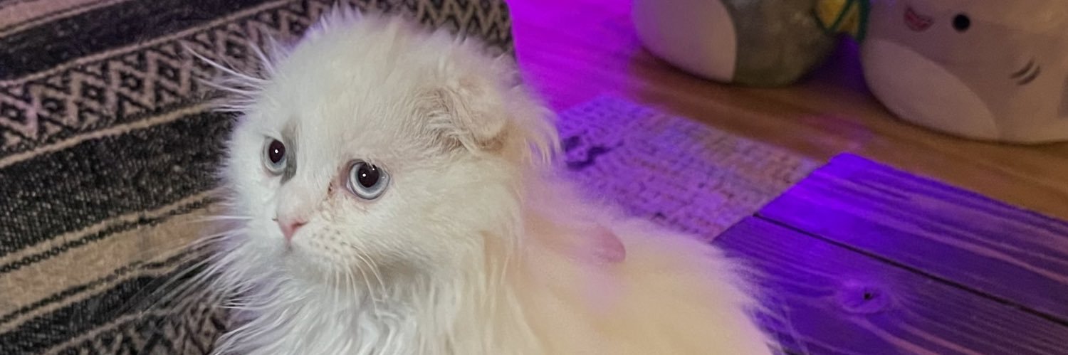 CaughtAMCELFISH's profile banner image