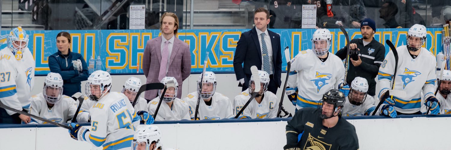 Mikhail Bryan banner