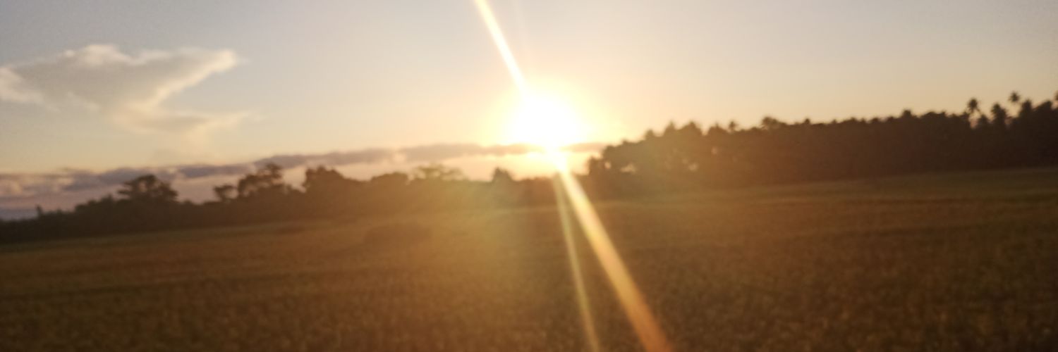 nosdemae's profile banner image